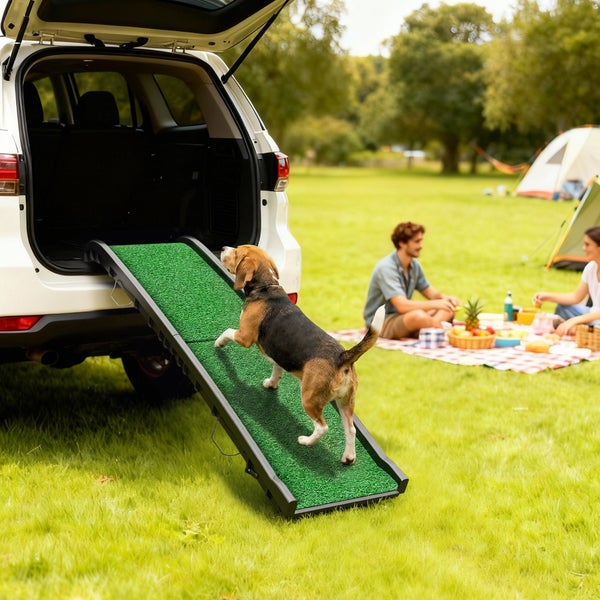Hund nutzt eine Hunderampe mit grüner Oberfläche, um in den Kofferraum eines weißen Autos auf einer Wiese zu gelangen.