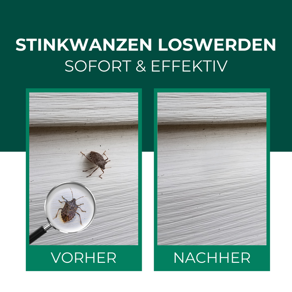 Silberkraft Stinkwanzenspray 500 ml, Effektiver Sofort- und Langzeitschutz gegen Stinkwanzen, ideal für Fenster, Türen, Fassaden und Wohnräume,  Mit Repellent-Wirkung für nachhaltige Abwehr