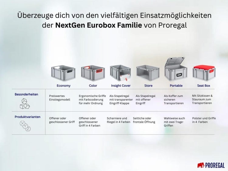 PROREGAL Spar Set 3x Eurobox Nextgen Economy Griffe Geschlossen HxBxT 32 x 40 x 60 cm 65 Liter Eurobehälter Transportbox Transportbehälter