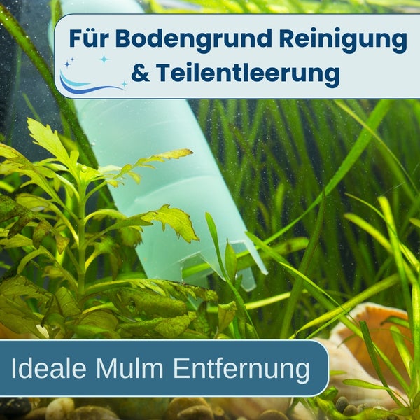Aquariumreiniger zur Bodengrundreinigung und Teilentleerung im Einsatz.