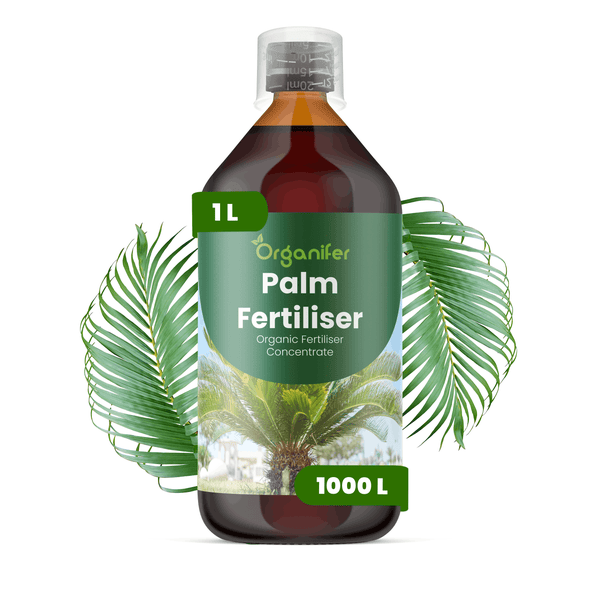 Flasche Organifer Palmendünger, organisches Düngerkonzentrat, Inhalt 1 Liter, inklusive Messkappe.