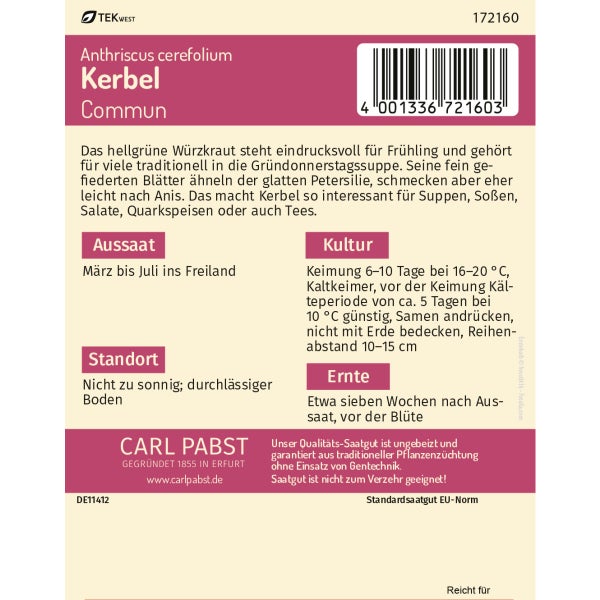 Kerbel krausblättrig & aromatisch Commun Samen von Pabst Keimkraft