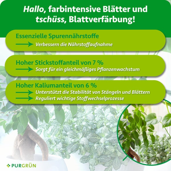Infografik zum Purgrün Pflanzendünger mit Vorteilen zu Spurennährstoffen, Stickstoff und Kaliumgehalt für ein gesundes Pflanzenwachstum.