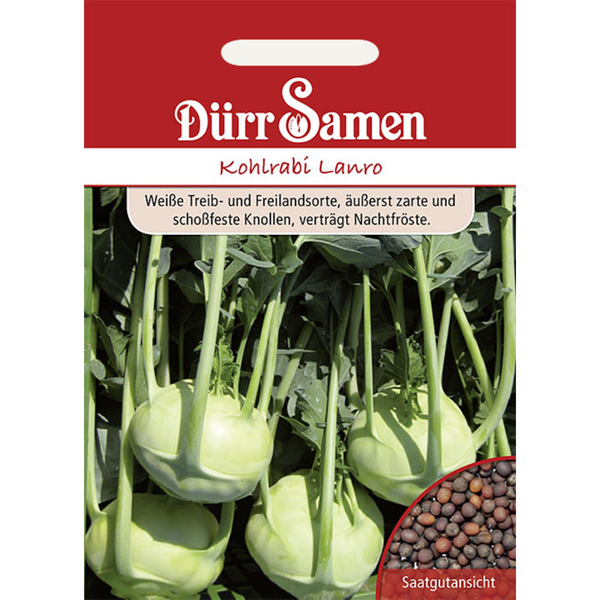 Kohlrabi Lanro Saatgut von Dürr Samen