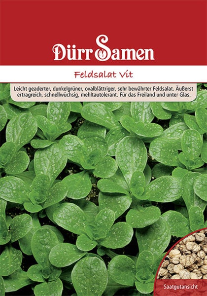 Samentüte für Feldsalat Vit von Dürr Samen mit Abbildung von wachsendem Salat, Detailansicht der Samen und Dürr Samen Logo.