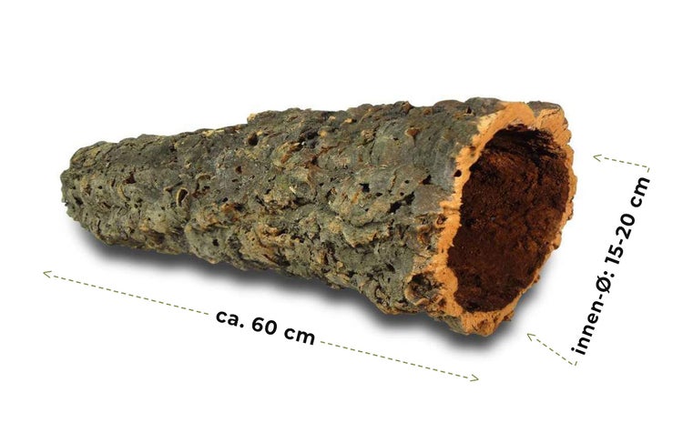 Korkröhre aus Naturkork für Terrarien, Länge circa 60 Zentimeter, Innendurchmesser 15 bis 20 Zentimeter.