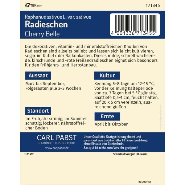 Radieschen raschwüchsig & mild Cherry Belle Samen von Pabst Keimkraft