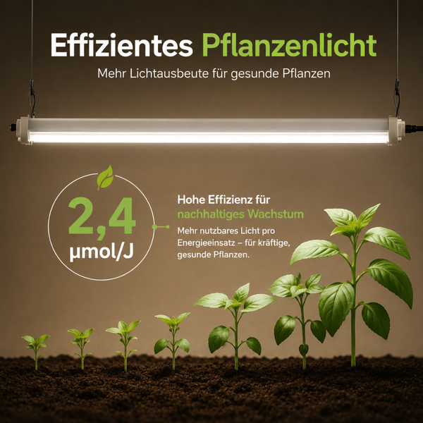 LED Pflanzenleuchte mit 2,4 Mikromol pro Joule Effizienz zur Förderung von gesundem Pflanzenwachstum.