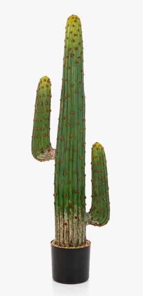 Künstlicher Kaktus Saguaro im schwarzen Topf mit dekorativen Steinen.