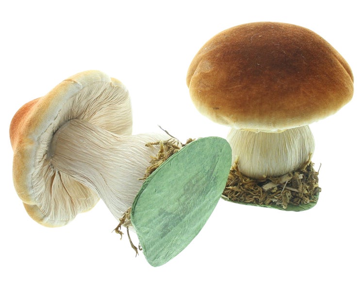 Dekorativer Steinpilz als herbstliche Dekofigur