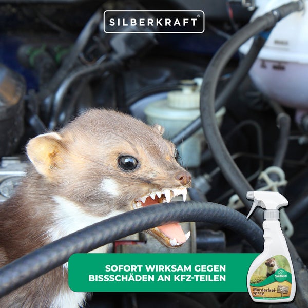 Silence Marder-Frei Spray zur Marderabwehr am Auto, schützt Kabel, Schläuche und Dämmmaterial im Motorraum, Spray für Garage, Carport, Stellplatz und Parkplatz, einfache Anwendung