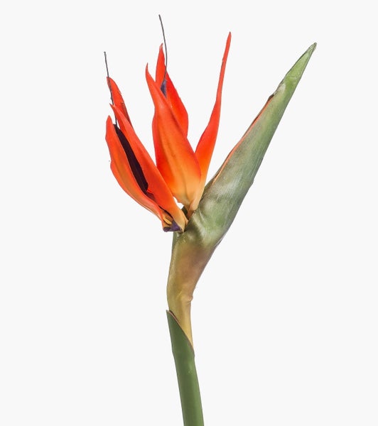 Künstliche Strelitzie MELIORN, orange-violett, 85cm - Kunst Strelitzie