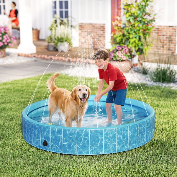 Blauer runder Hundepool mit Sprinklerfunktion im Garten, in dem ein Kind und ein Hund spielen.