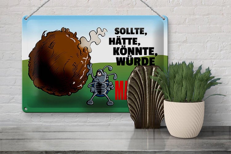 Blechschild Spruch 30x20cm Sollte hätte könnte Machen