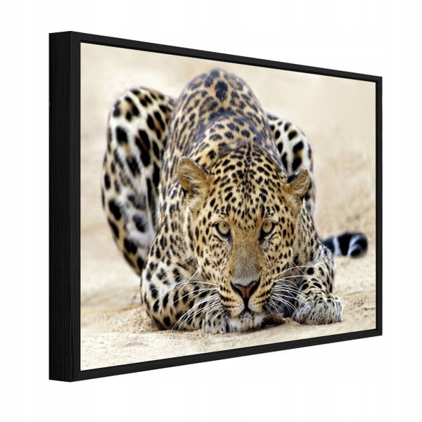 Bilder mit Rahmen Lampard Tiere Natur PPR14750O4 Wandbilder Wohnzimmer Schlafzimmer 60x40 cm