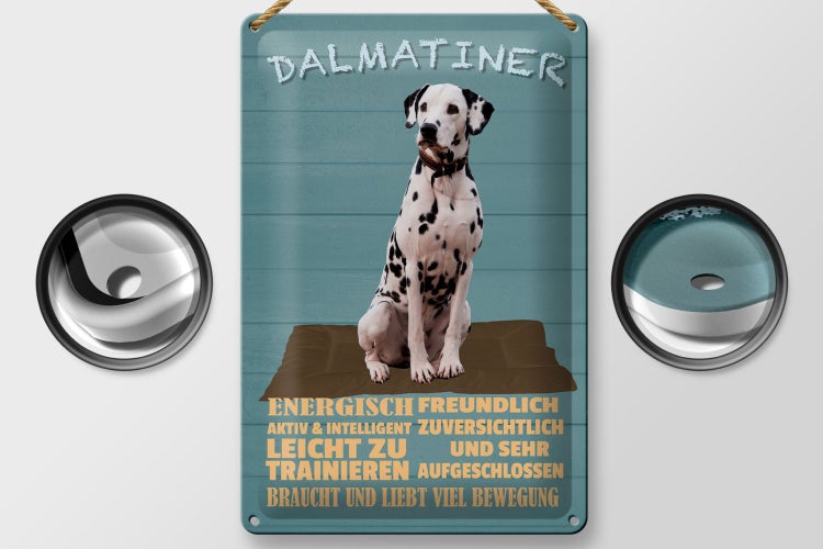Blechschild Spruch 20x30cm Dalmatiner Hund energisch aktiv