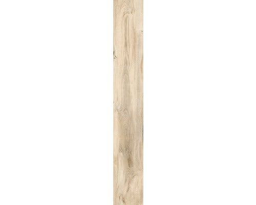 Wand- und Bodenfliese Aretino ecru 24x150x0,85cm