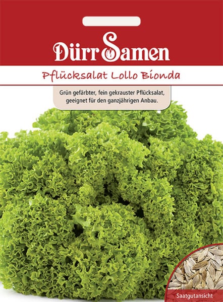 Samentüte für Pflücksalat Lollo Bionda mit Dürr Samen Logo, Abbildung von gekraustem Blattsalat und Detailansicht der Samen.