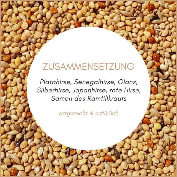 Zusammensetzung von Vogelfutter mit Platahirse, Senegalhirse, Glanz, Silberhirse, Japanhirse, roter Hirse und Ramtillkraut