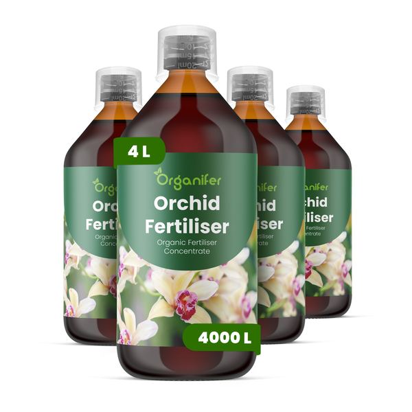 Organifer Begoniendünger 3 Liter, organisches Flüssigdünger-Konzentrat, ergibt 3000 Liter Düngerlösung.