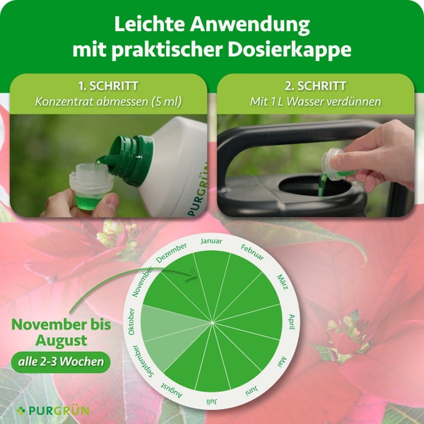 Anwendungshinweise für Purgrün Dünger mit Dosierkappe: Abmessen von fünf Millilitern Konzentrat und Verdünnung mit einem Liter Wasser.