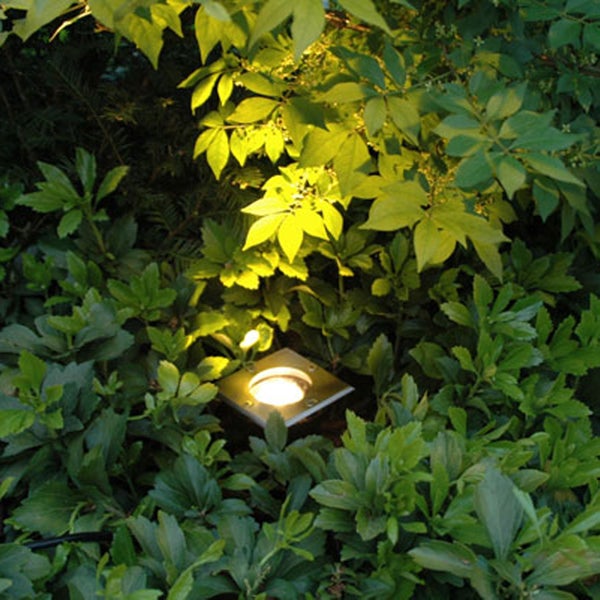 Quadratischer Bodeneinbaustrahler beleuchtet grünes Laub in einem Garten von unten mit warmem Licht.