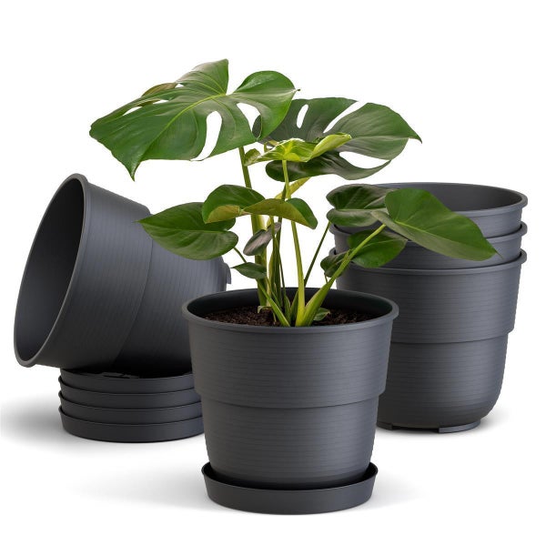 Anthrazitfarbene Kunststoff-Blumentöpfe mit passenden Untersetzern, ein Topf bepflanzt mit einer Monstera.
