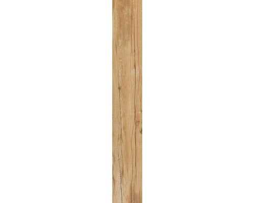 Wand- und Bodenfliese Aretino nut 24x150x0,85cm