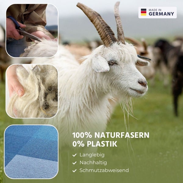 Ziege auf einer Weide, Gewinnung von Wolle für Teppichfliesen aus 100 Prozent Naturfasern, ohne Plastik, nachhaltig und in Deutschland hergestellt.