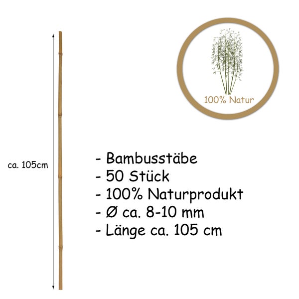 Bambusstab, Länge circa 105 cm, Packung mit 50 Stück, 100 Prozent Naturprodukt