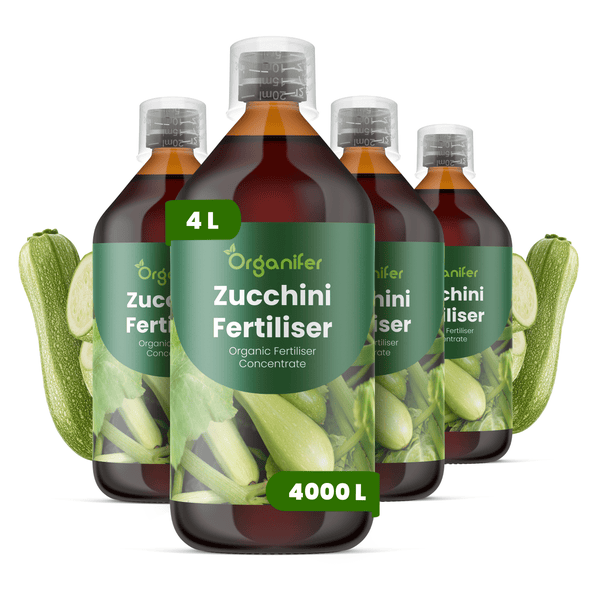 Vier Flaschen Organifer Zucchini-Dünger, organisches Düngerkonzentrat, 4 Liter für 4000 Liter Gießwasser.