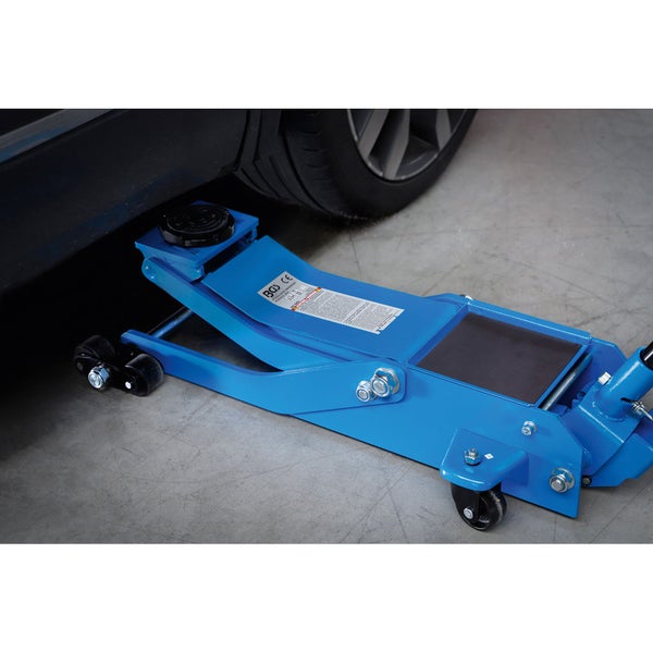 Nahaufnahme eines grünen Gartenpflanzenblattes