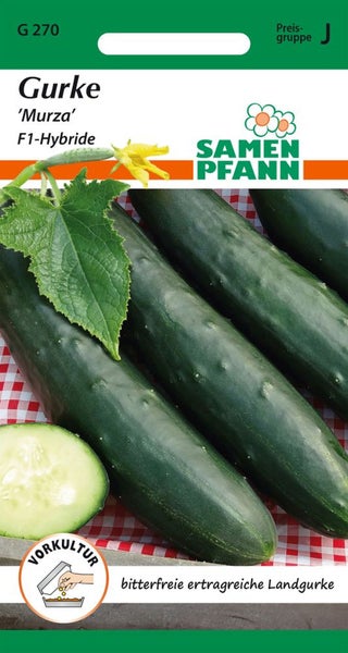 Gurkensamen der Sorte Murza F1-Hybride