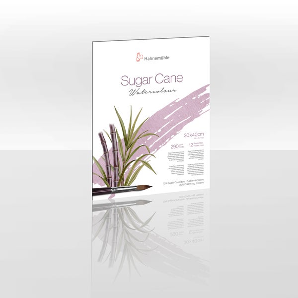 Hahnemühle Logo. Sugar Cane Aquarellblock, 30 mal 40 Zentimeter, 290 Gramm pro Quadratmeter, 12 Blatt, aus Zuckerrohrfasern und Baumwolle.