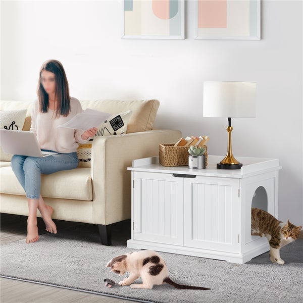 Wohnzimmer mit weißem Katzentoilettenhaus, Katze und Frau mit Laptop auf der Couch