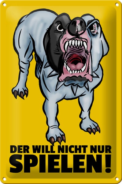 Blechschild Spruch 20x30cm Der will nicht nur spielen Hund