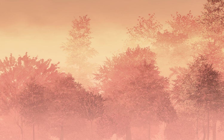 Illustration eines Waldes im Nebel