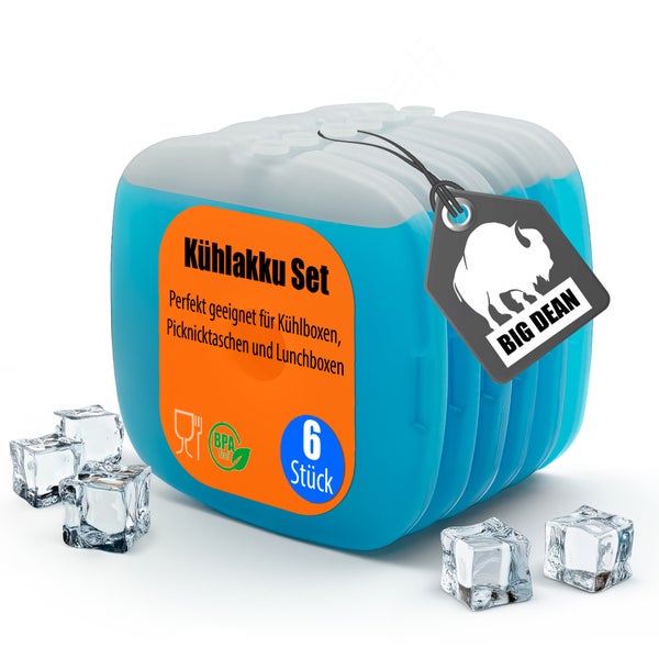 Kühlakku Set, 6 Stück, geeignet für Kühlboxen, Picknicktaschen und Lunchboxen