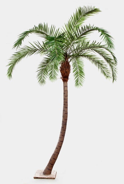 Künstliche Palme mit gebogenem Stamm und grünen Palmwedeln auf einem quadratischen Standfuß.