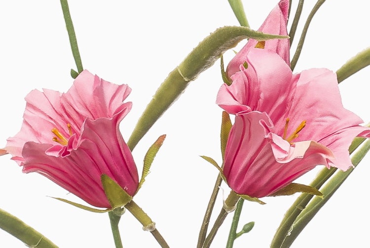 Künstliche Blume mit rosafarbenen Blüten und grünen Stielen.