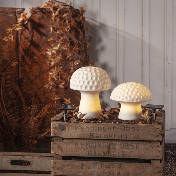 Zwei Pilz Solarleuchten auf Holzkiste für den Aussenbereich