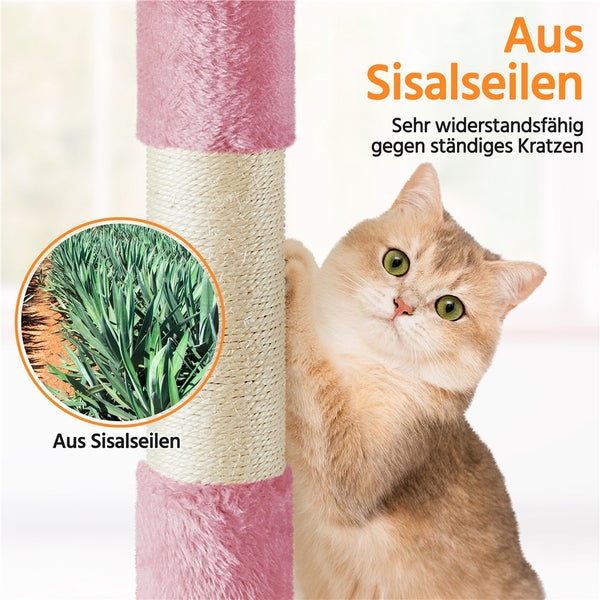 Katze kratzt an einem Kratzbaum mit Sisalseil