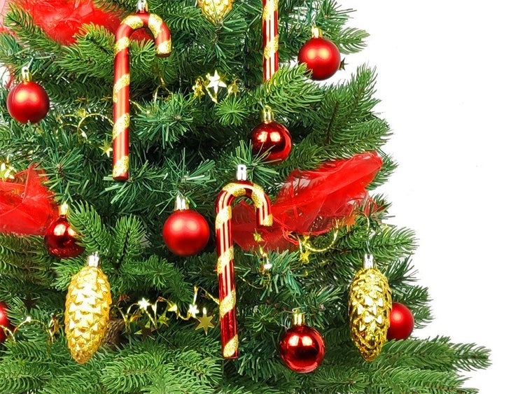 Weihnachtsbaum geschmückt mit roten Weihnachtskugeln, goldenen Tannenzapfen und Zuckerstangen als Anhänger