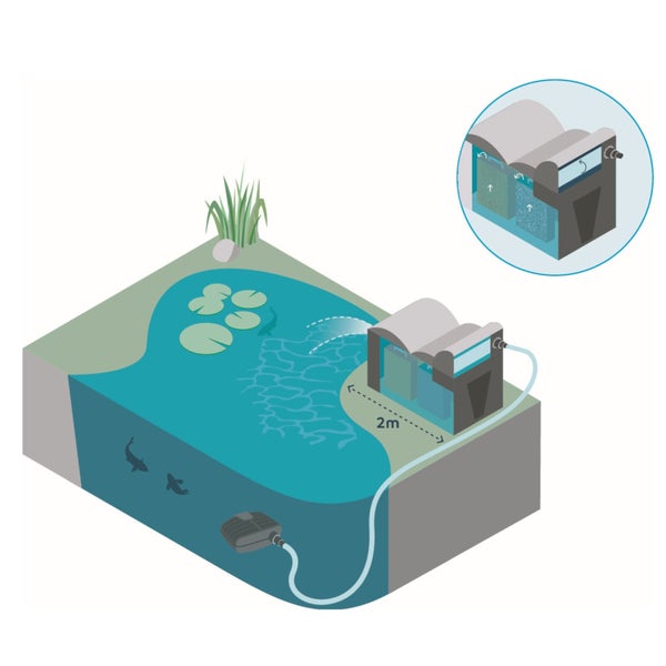 Schemazeichnung eines Teichfiltersystems mit Pumpe im Teich, Schlauch und Filterbox in zwei Meter Entfernung zum Ufer.