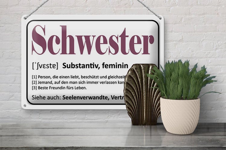 Blechschild Spruch 30x20cm Schwester Person die einen liebt