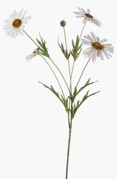 Künstliche Blume Gänseblümchen NAROA, weiß, 80cm - Deko Margeriten