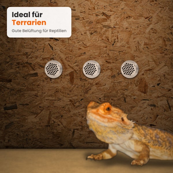 Drei runde Lüftungsgitter in einer OSB Holzplatte angebracht für die Belüftung von Terrarien mit einer Bartagame im Vordergrund.