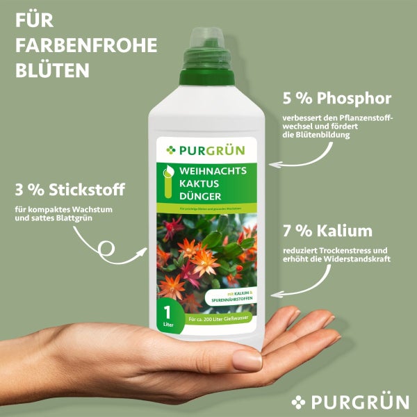 Purgrün Weihnachtskaktus-Dünger 1 Liter