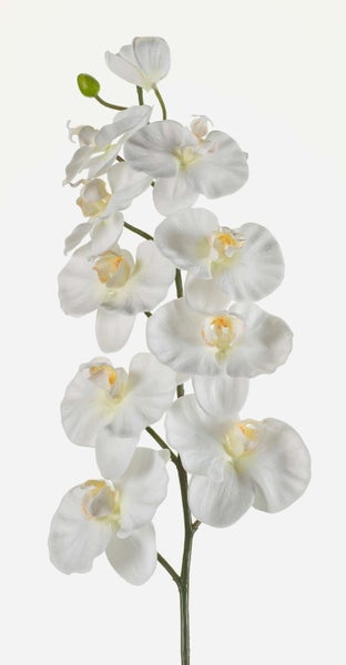 Künstliche Strelitzie in schwarzem Kunststofftopf mit großen grünen Blättern.