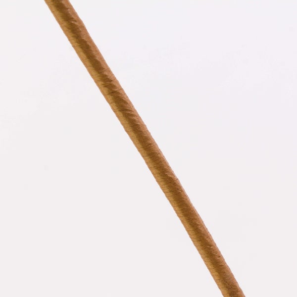 Dünner Pflanzstab aus Naturmaterial zur Unterstützung von Pflanzen.